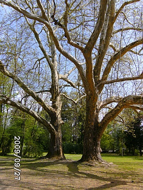 Stadtpark