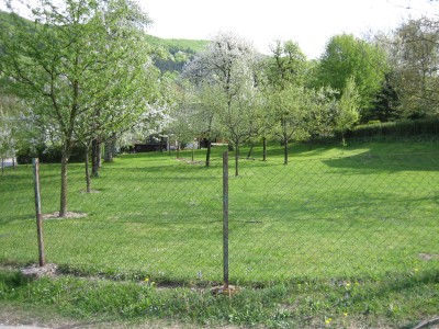 Obstgarten